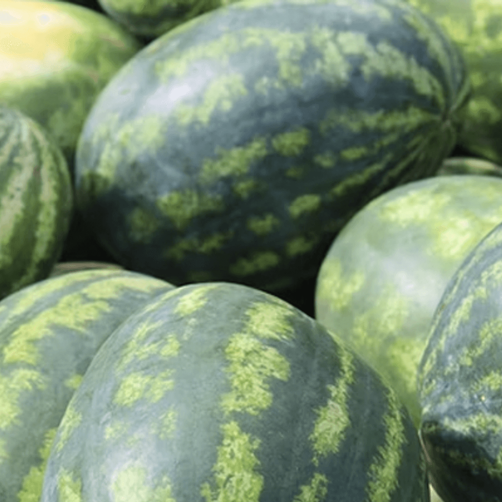 Watermelon by Juven Dunn Alabama News
