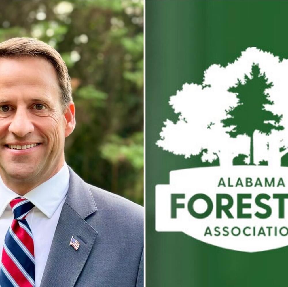 bryan taylor, alabama forestry Alabama News