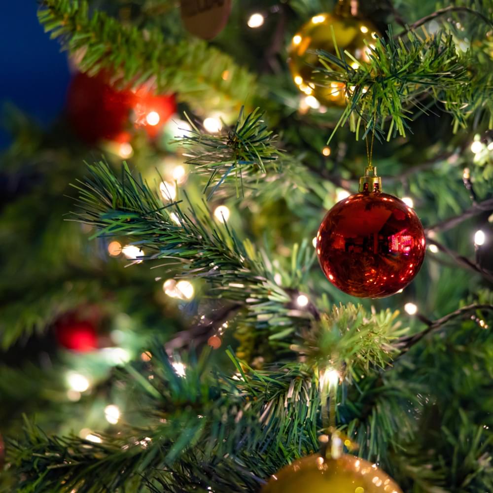 Christmas Tree Alabama News