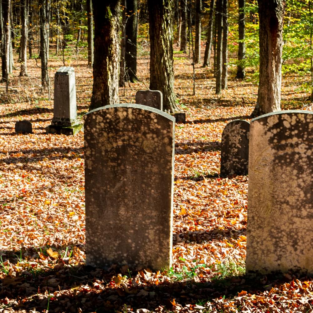 Cemetery with Gravestones on a Autumn Day