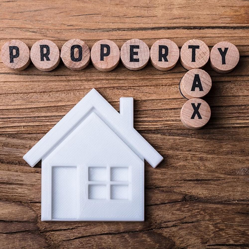 Property tax pipgroup com