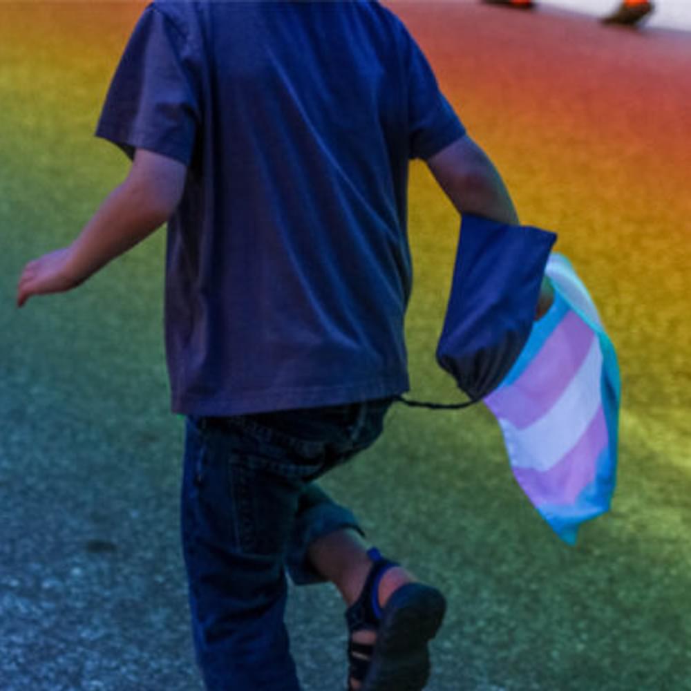Transgender child gay by Mercedes Mehling