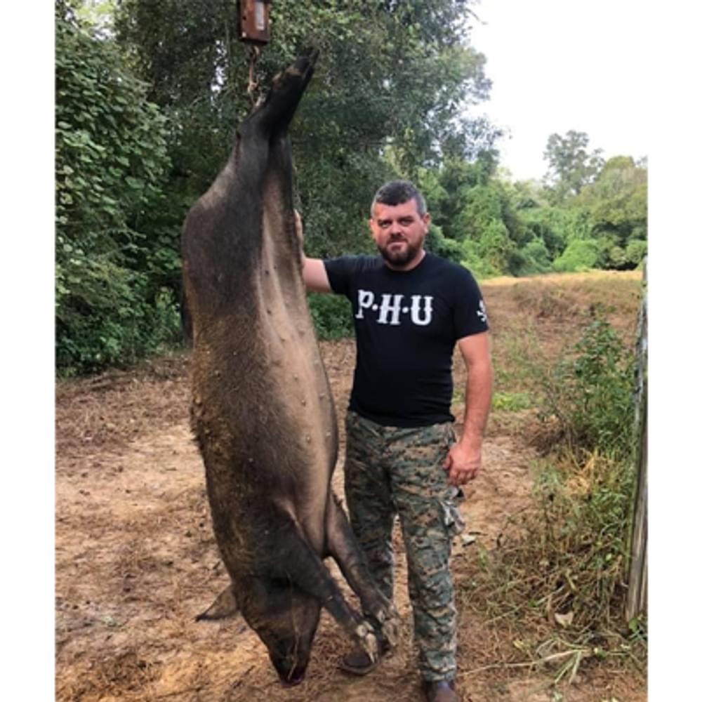 Wild hog by Eric Blankenship
