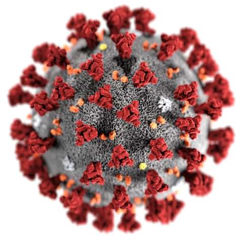 Coronavirus Pandemic Halts Executions, Perhaps for the Foreseeable Future