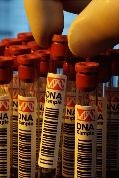 States Continue to Oppose DNA Testing in Death Penalty Appeals, Attorneys Ask Why Don’t They Want to Learn the Truth?