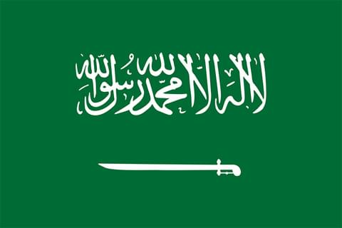 Saudi Arabian Mass Execution of 81 People Draws Condemnation from U.N. High Commissioner, Rights Activists