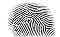 Problems in Florida, Arizona Crime Labs Renew Questions About Reliability of Forensic Testimony