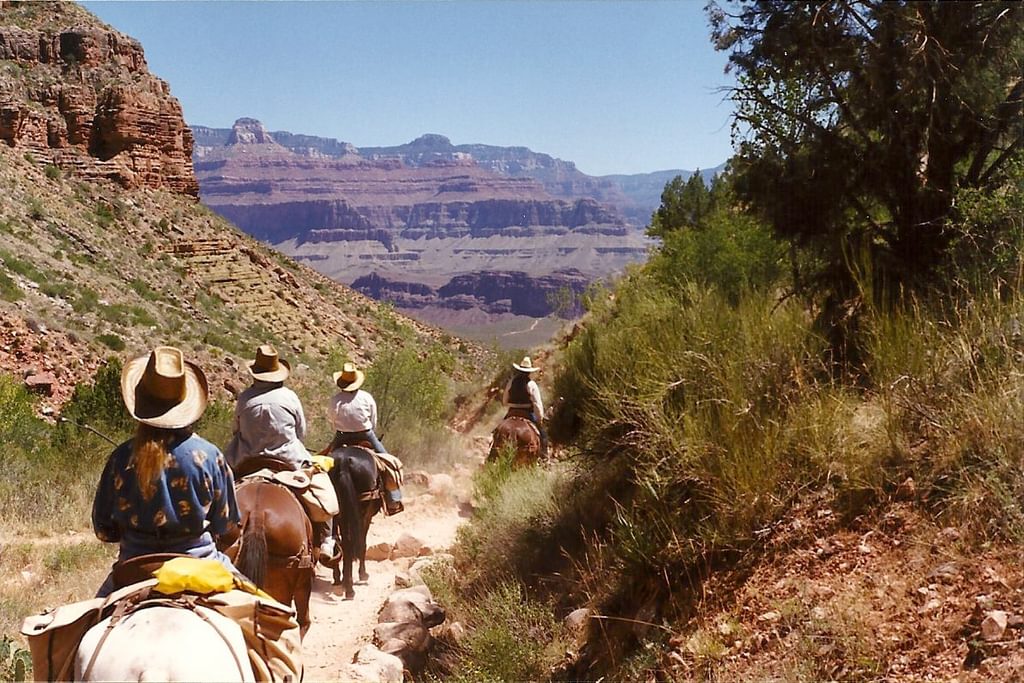 Grand Canyon Bright Angel Trail. Photo by Richard Dieter.