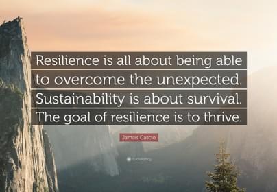 1248904 Jamais Cascio Quote Resilience is all about being able to overcome
