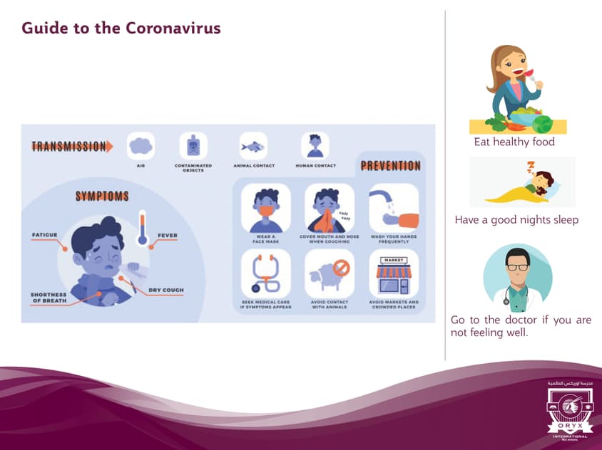 Guide to Coronavirus