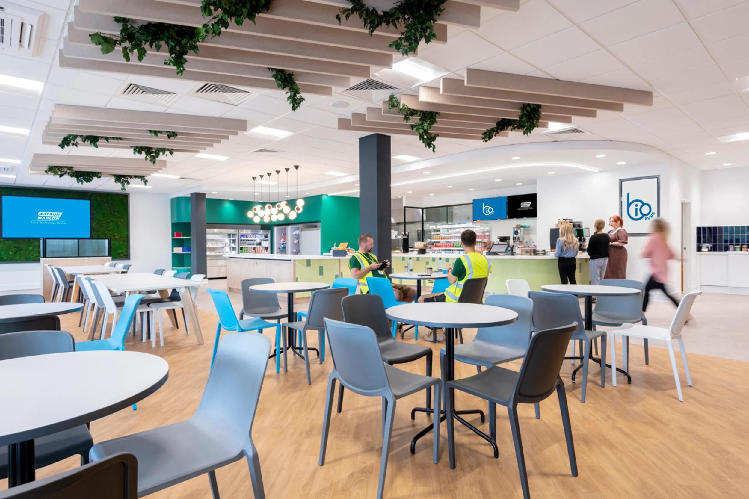 BioPure Hampshire | Workspace Design & Build Project