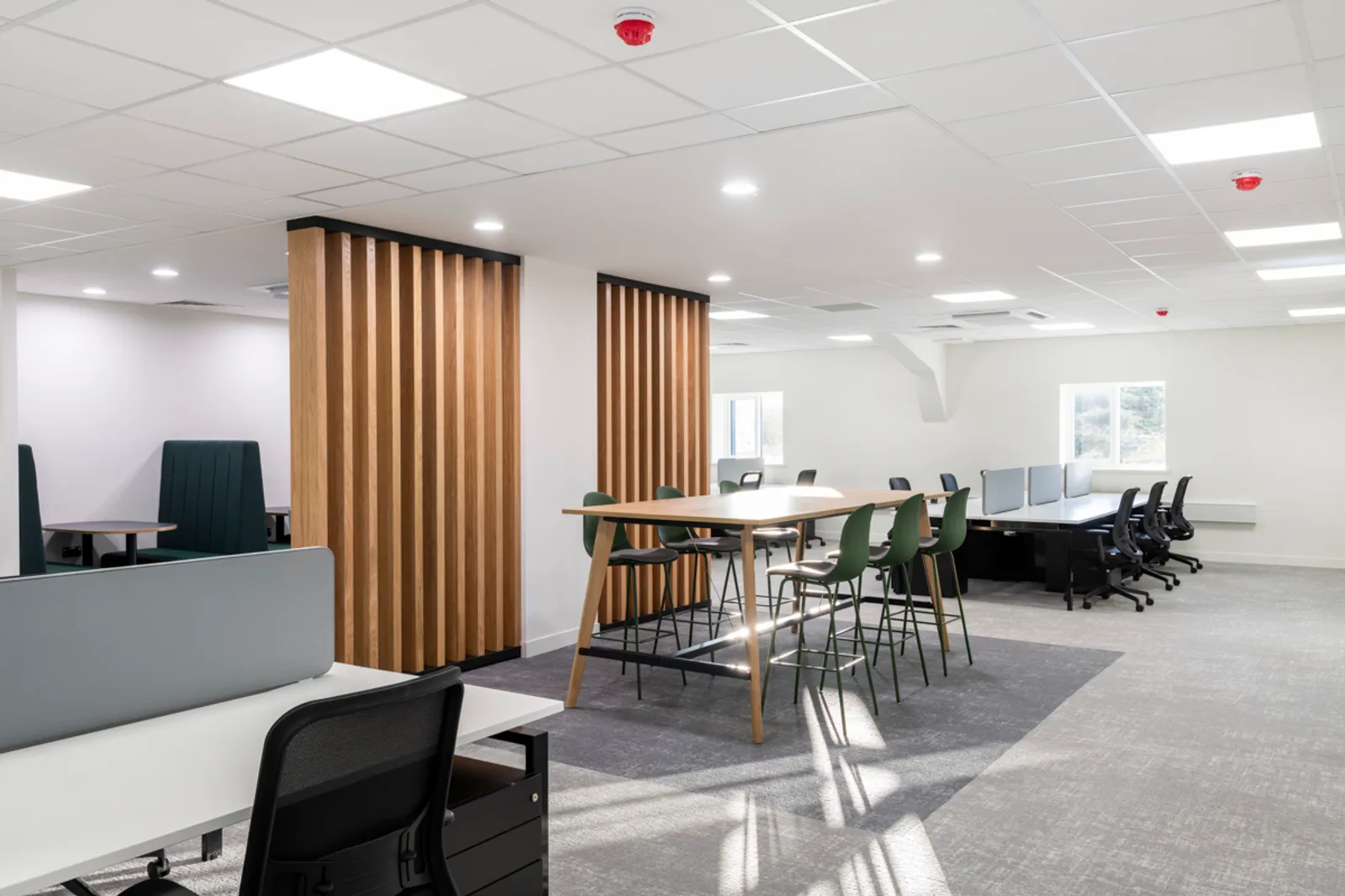 Area Gen Two Office Curator SMALL 7