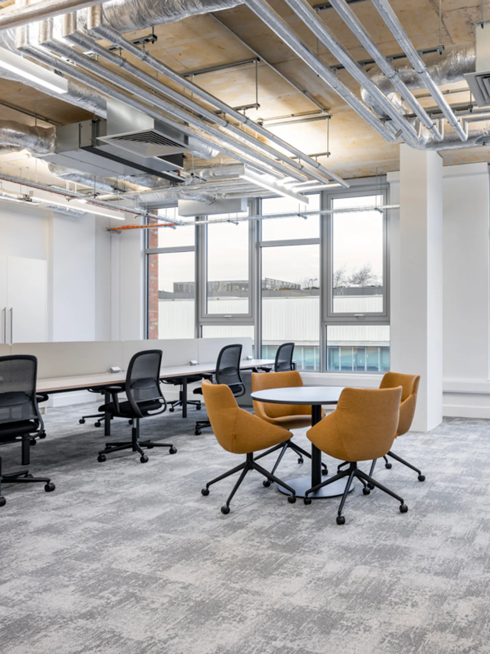 Area Kadans Office Curator SMALL 11