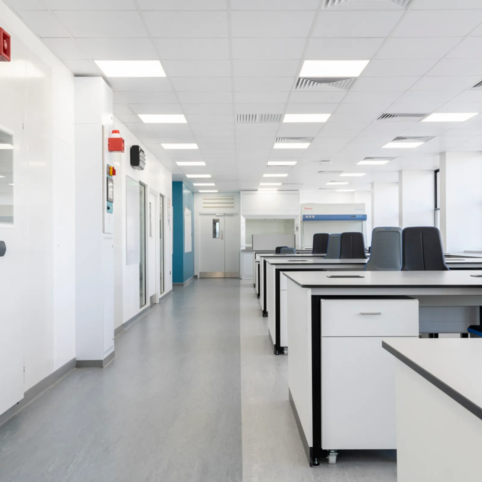 Area Patheon Office Curator SMALL 31