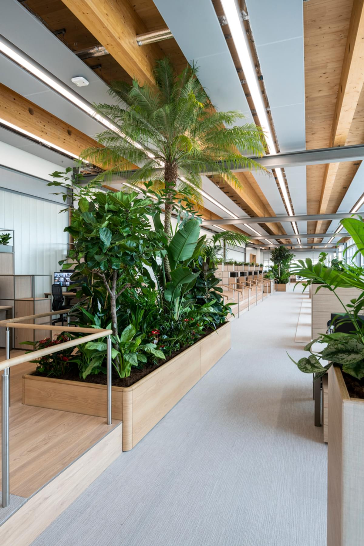 Enhance Workplace Wellbeing with Biophilic Office Design | Area