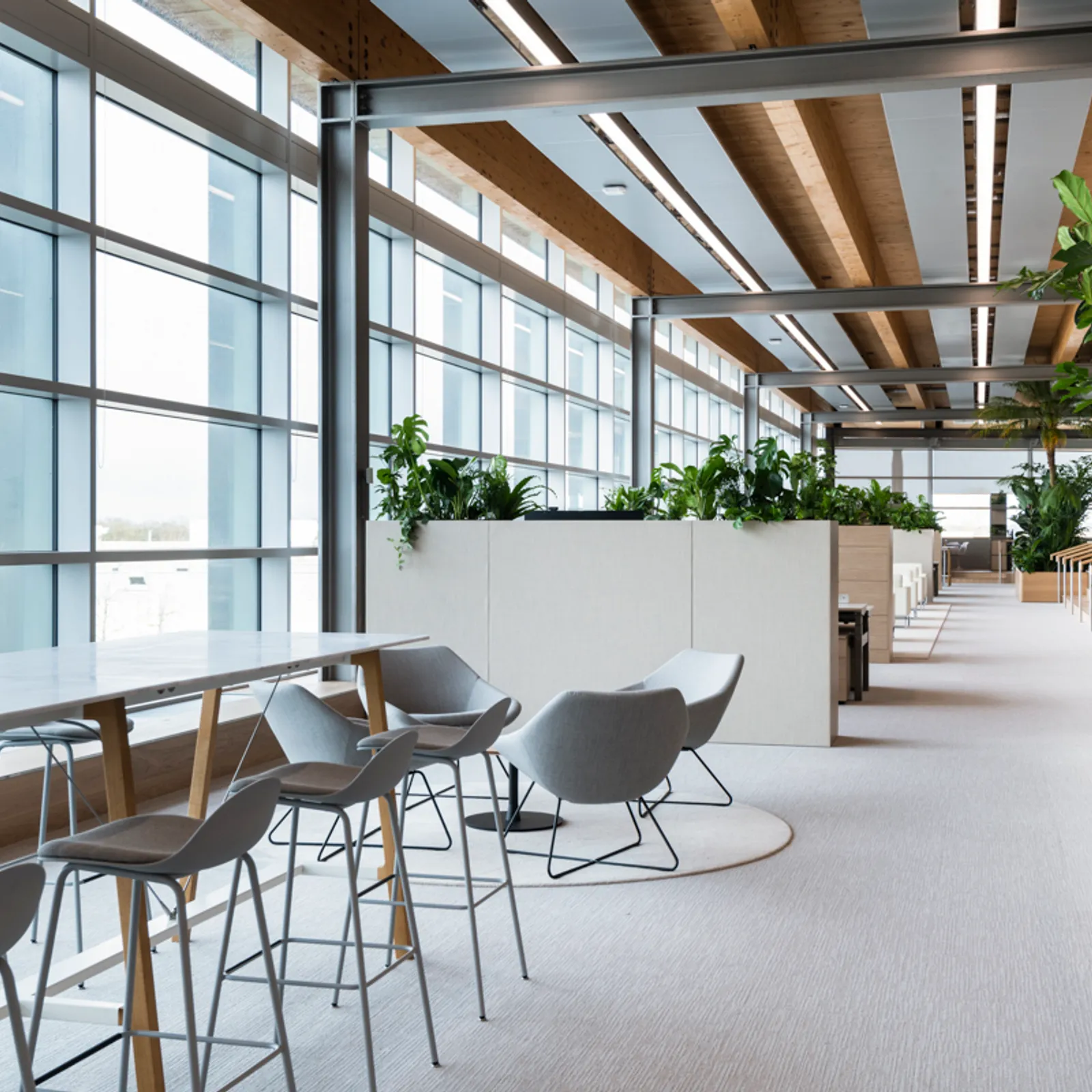 JLR Area Office Curator SMALL 6