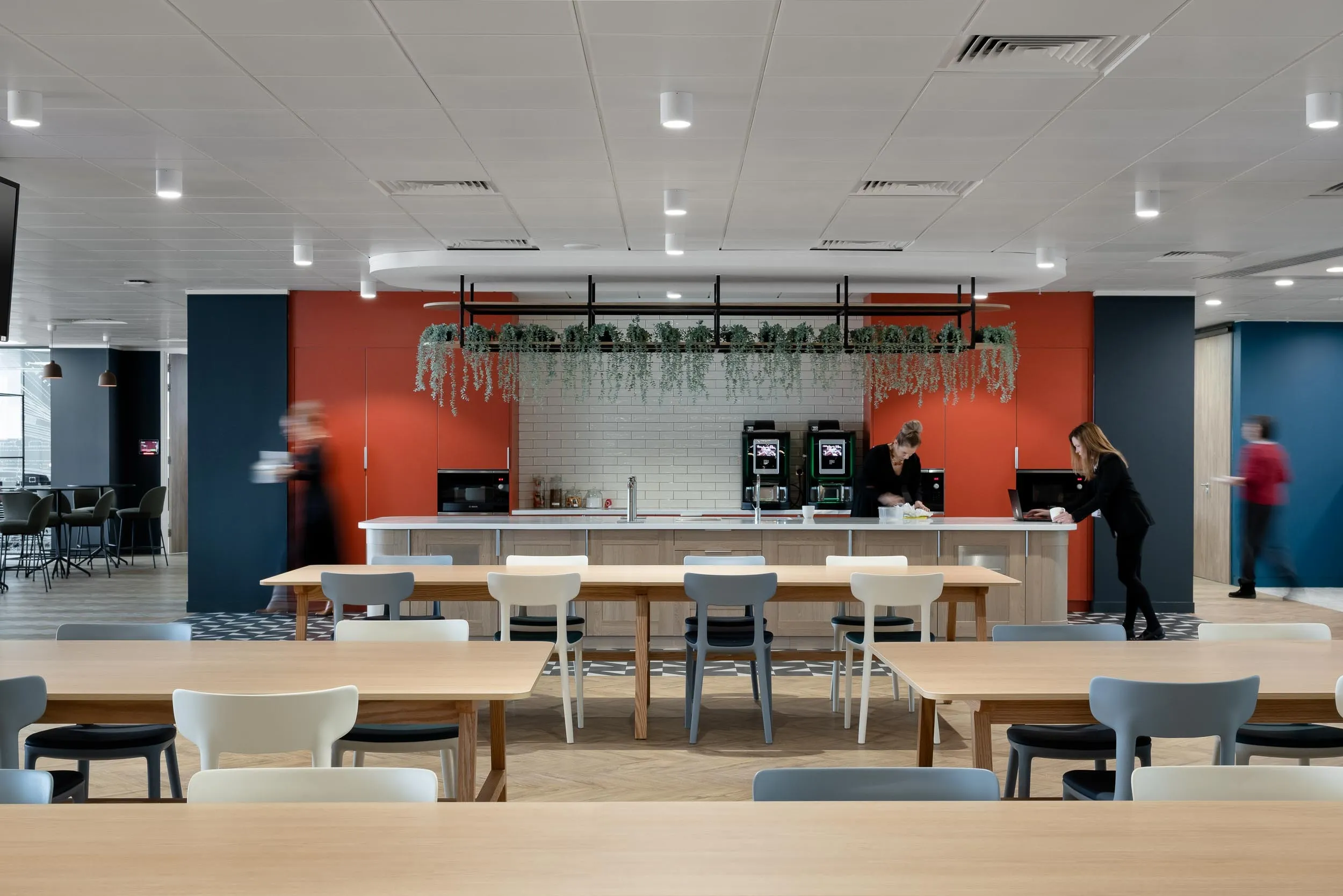 Web SRA photo by Tom Bird 10