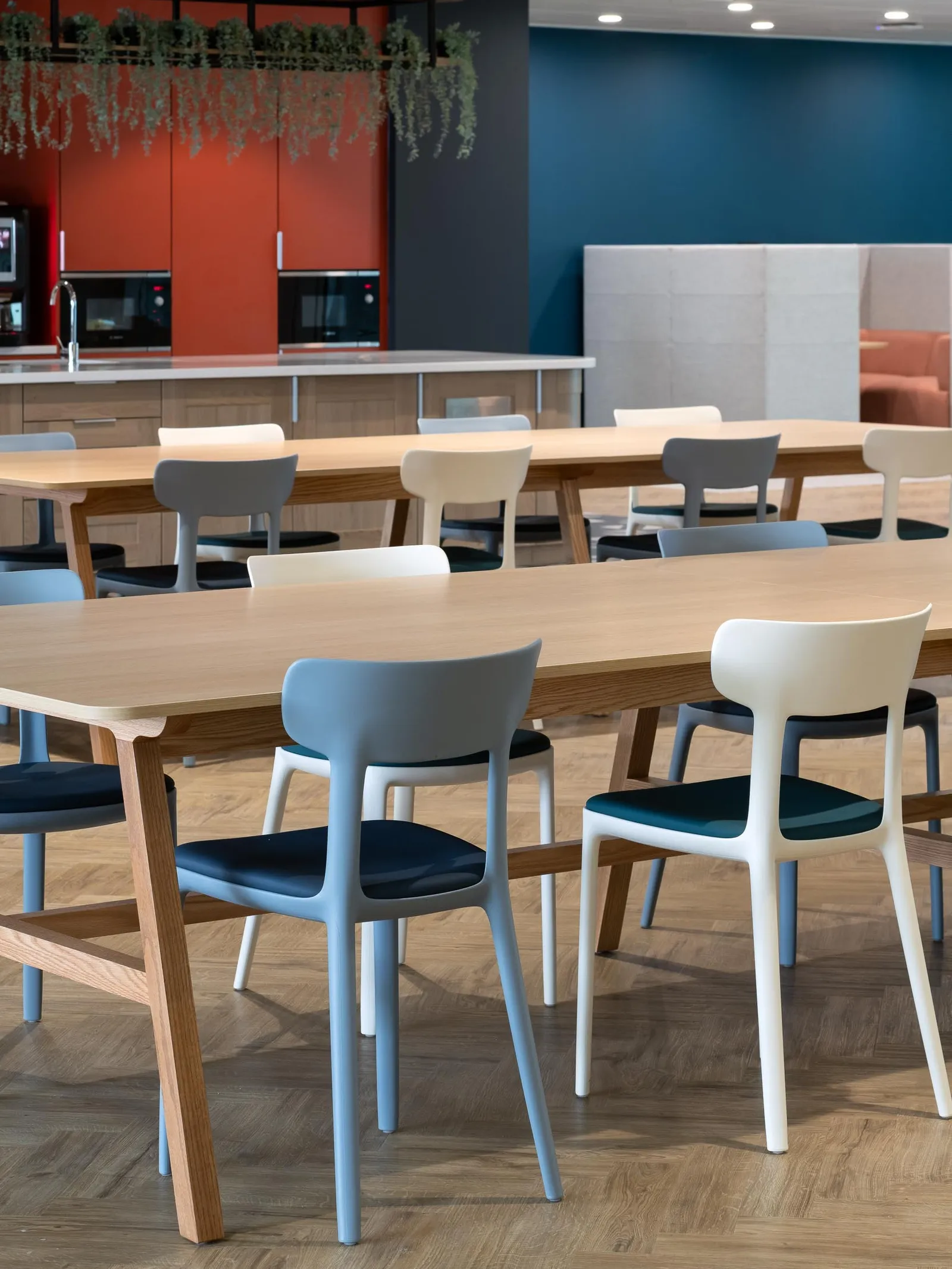 Web SRA photo by Tom Bird 34