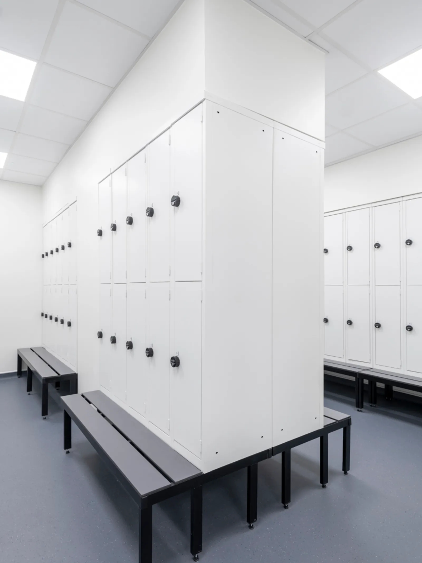 Area Patheon Office Curator SMALL 2