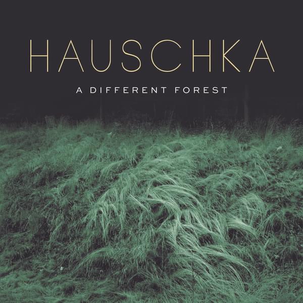 Cover Hauschka A Different Forest 182223190