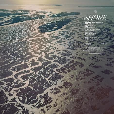 Fleet Foxes Shore Art