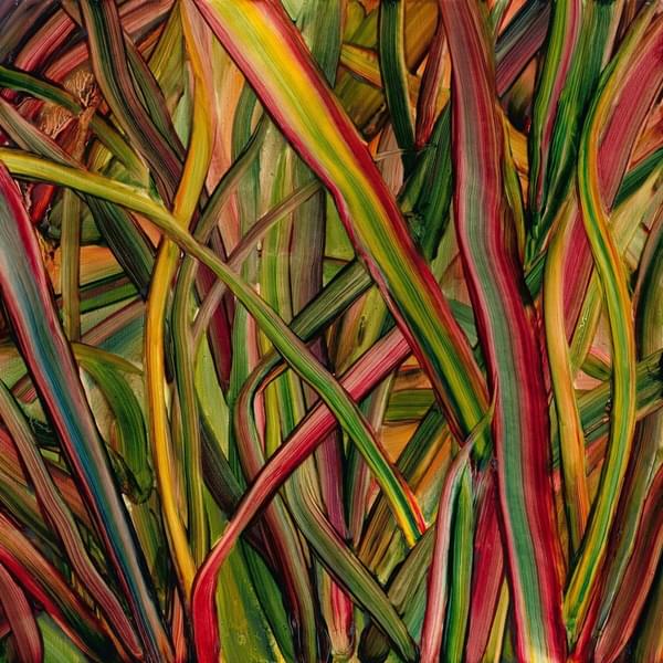 Gengahr Where Wildness Grows