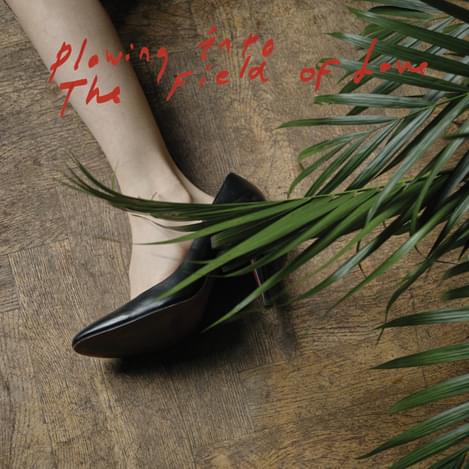 Iceage Plowing Into The Field Of Love