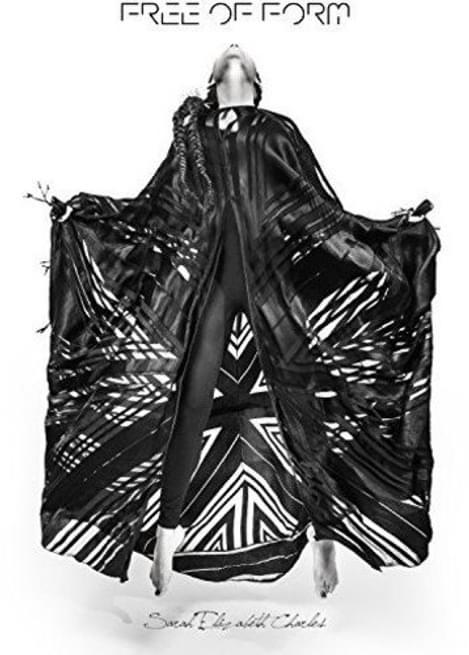 Sarah Elizabeth Charles Free of Form