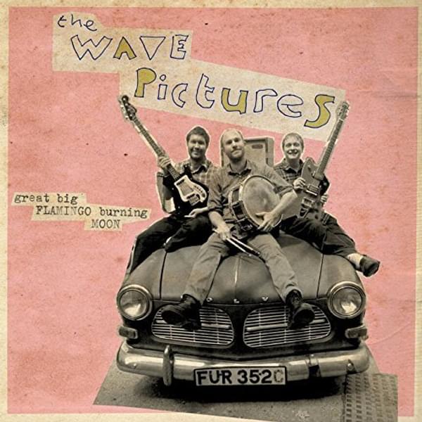 The Wave Pictures Great Big Flamingo Burning Moon