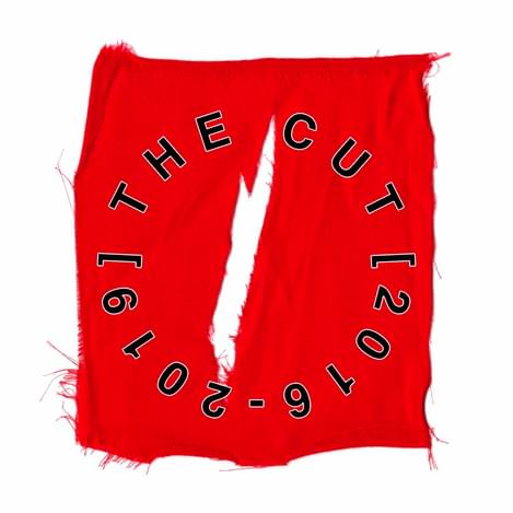 These New Puritans The Cut cover