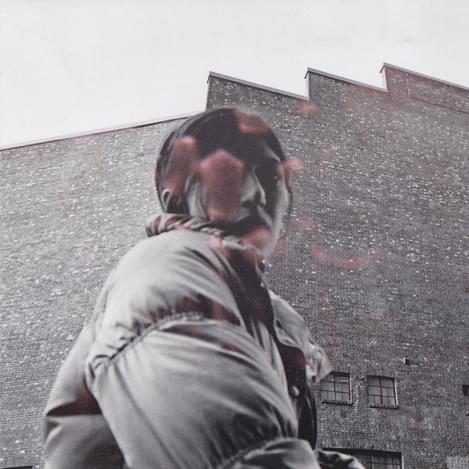Aldous harding warm chris art