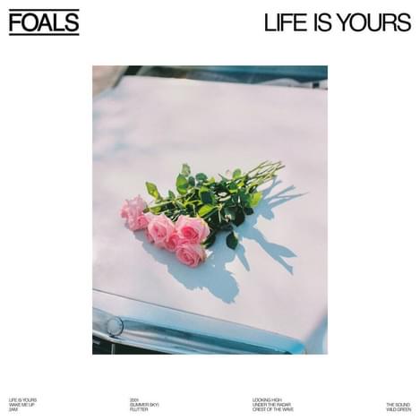 Foals life is yours art