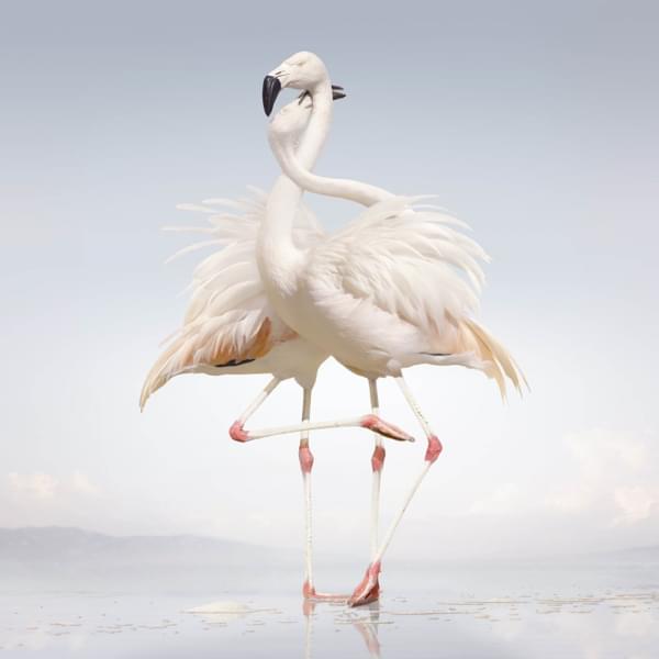 Rustie green language