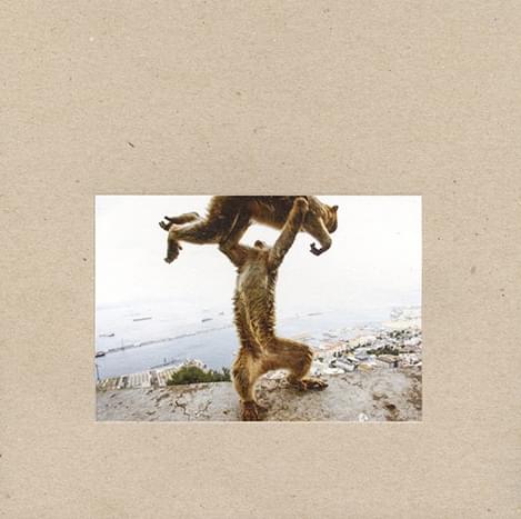 Shellac album dude incredible
