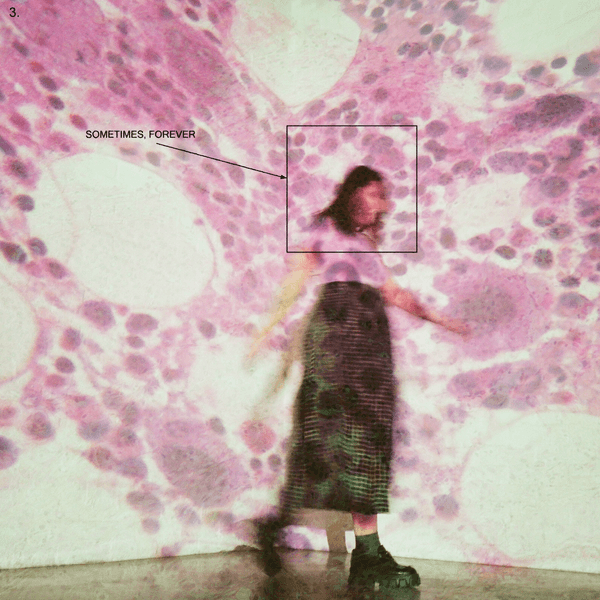 Soccer mommy sometimes forever art