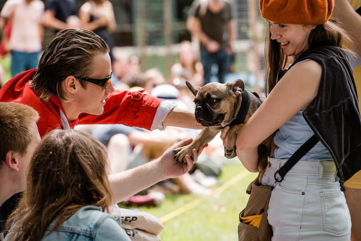 Dog Show Visions Festival London 03082019 by Joshua Atkins 3