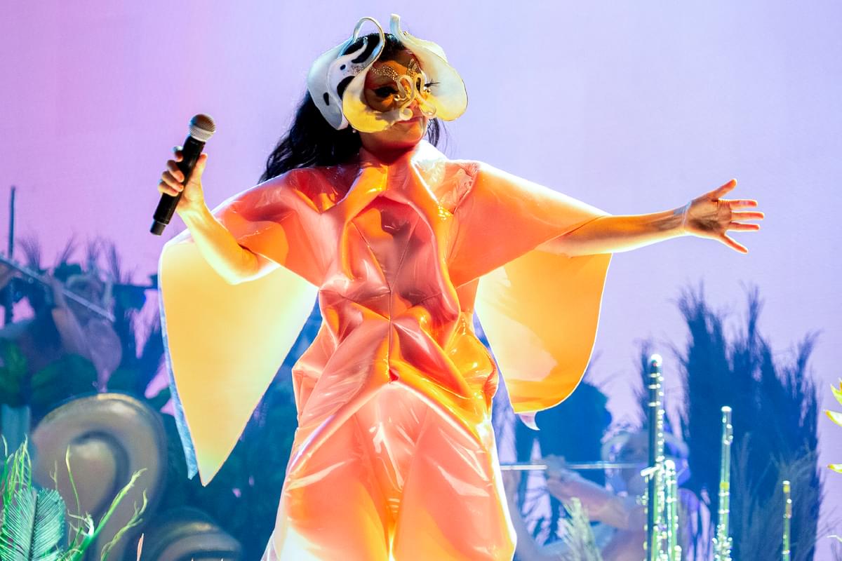 Bjork 03 Santiago Felipe