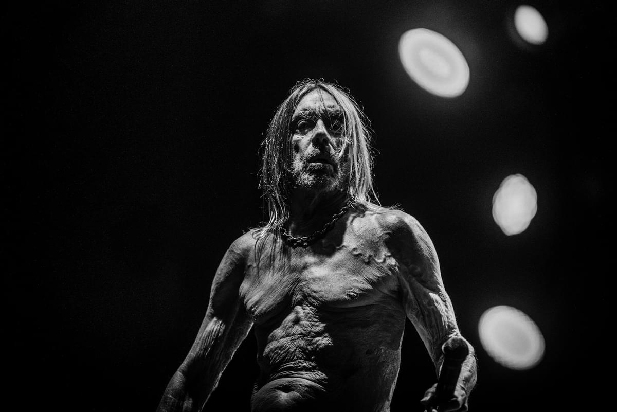 Iggy Pop announces new album EVERY LOSER | The Line of Best Fit