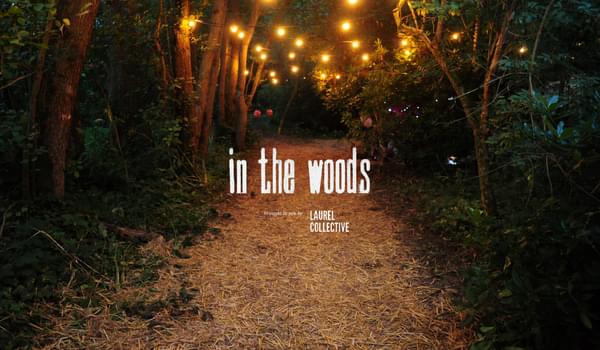 In The Woods