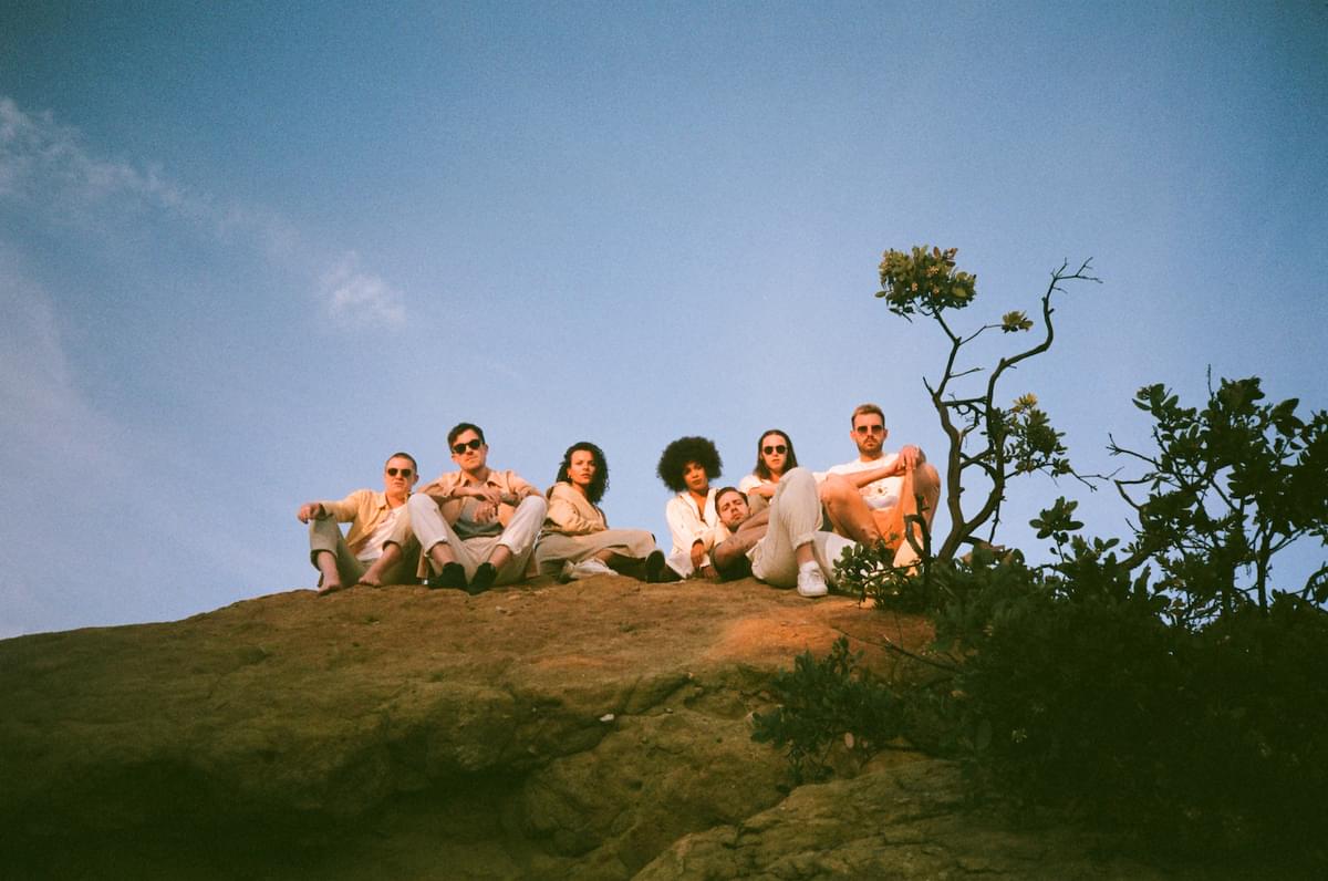 JUNGLE Rock wide