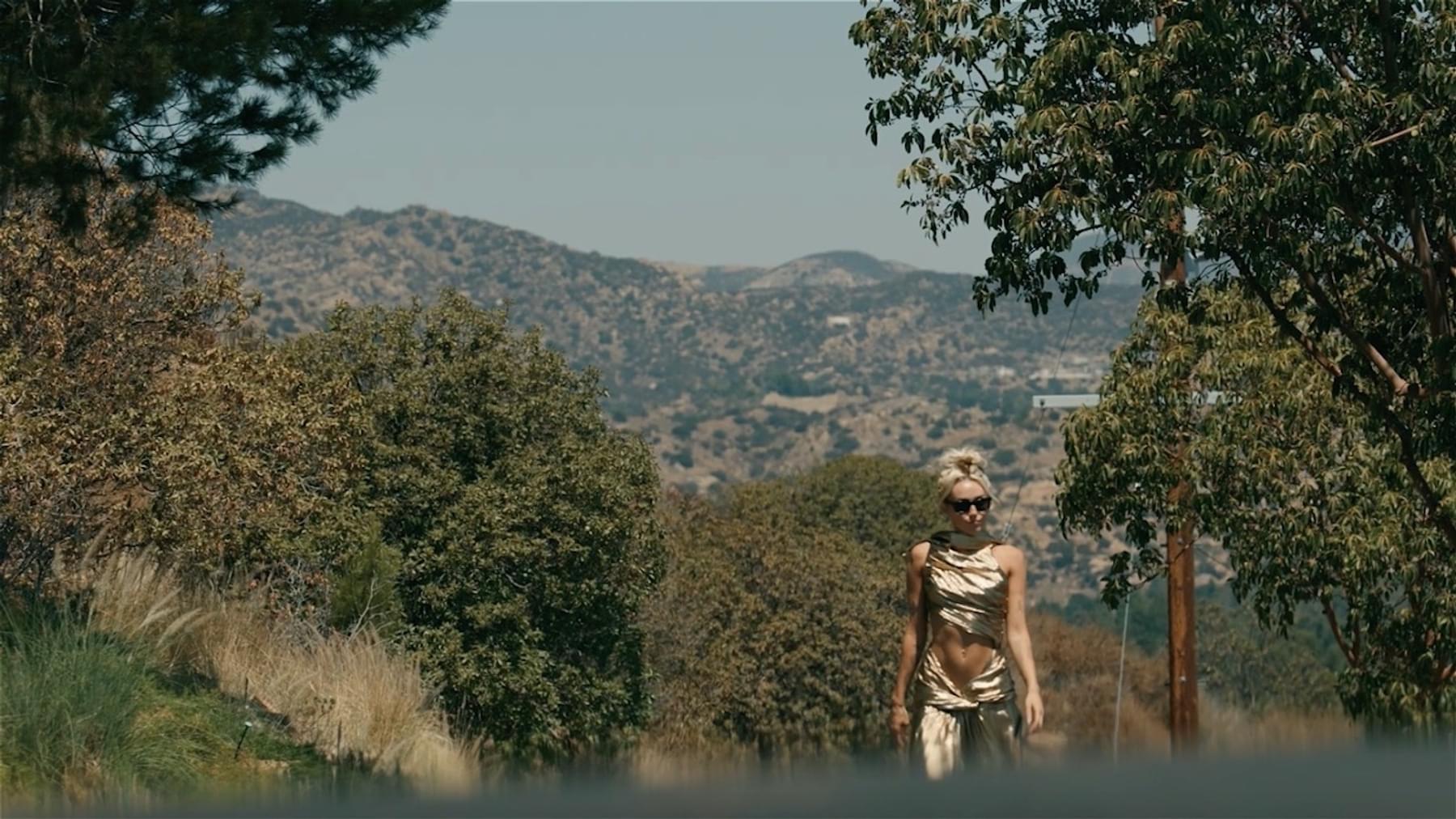 Miley Cyrus announces new album Endless Summer Vacation | The Line of