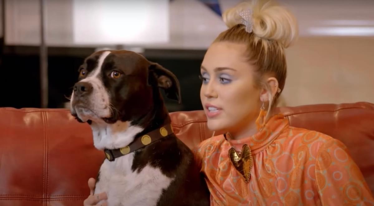 Miley cyrus mary jane dog interview