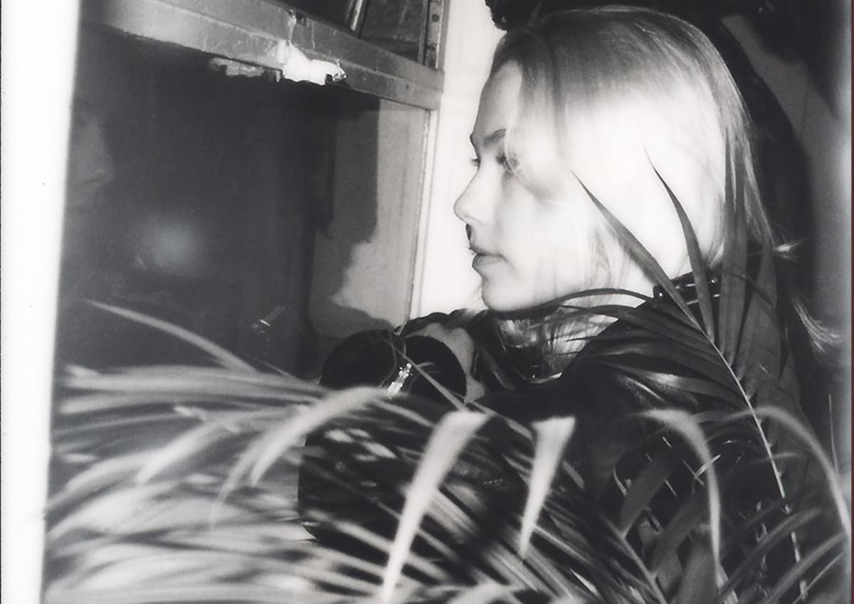 Phoebe bridgers longread