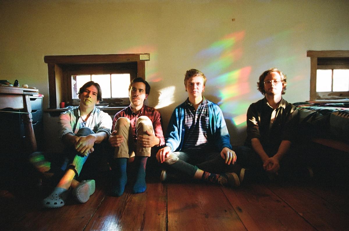 Pinegrove marigold