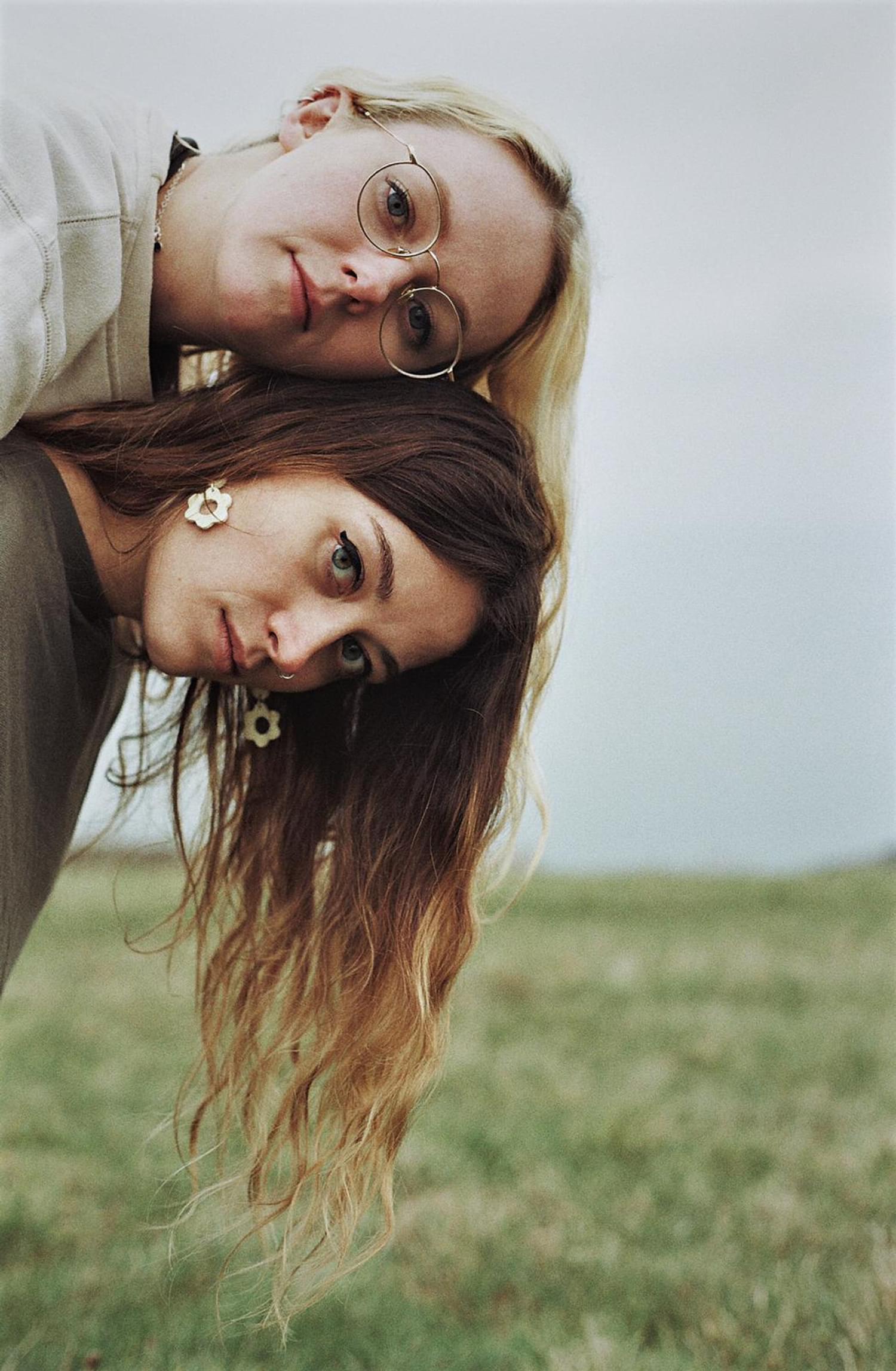 Sunflower thieves 2