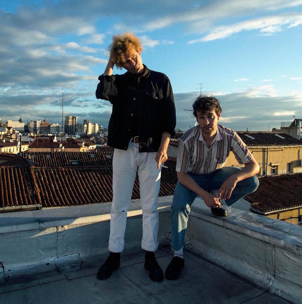 The parrots 2018