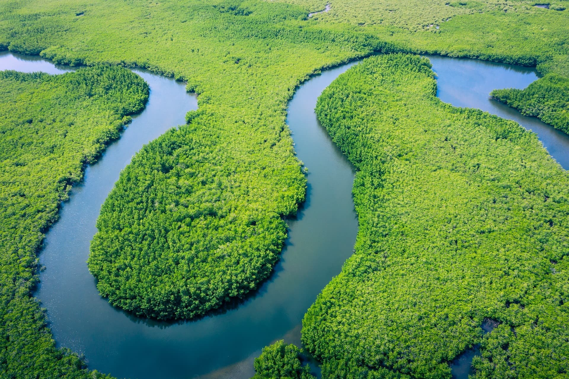 12 Safety Measures To Take When Paddling In The Amazon