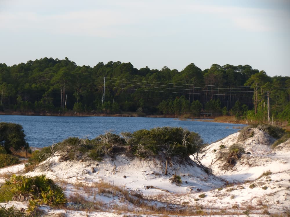 Coastal Dunes Lakes