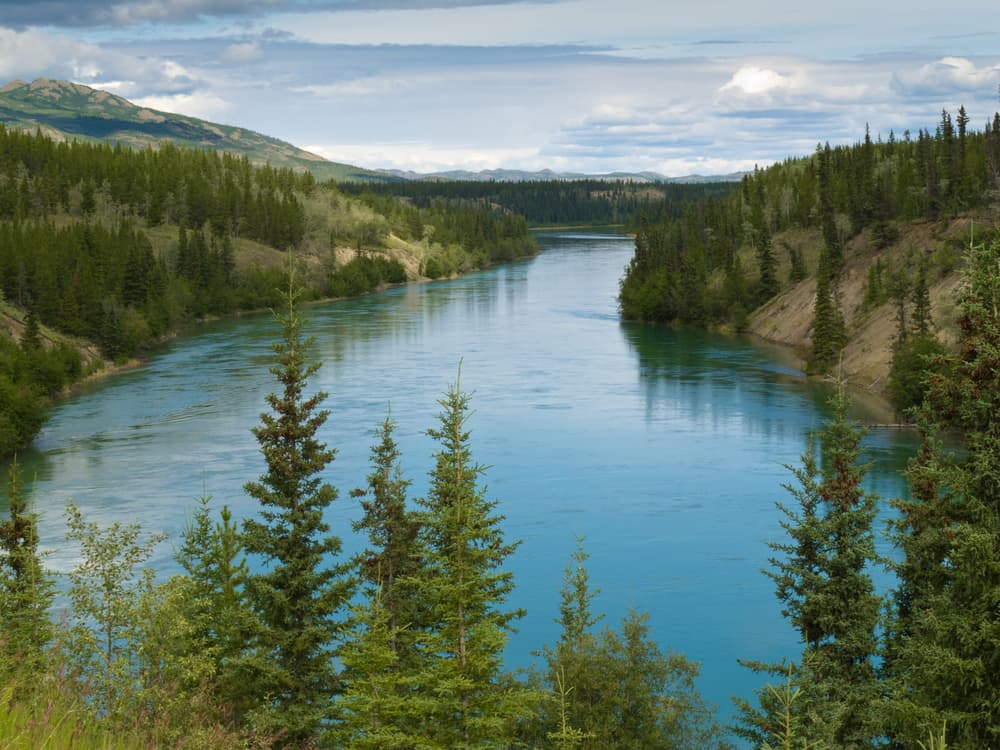 Yukon River, Yukon