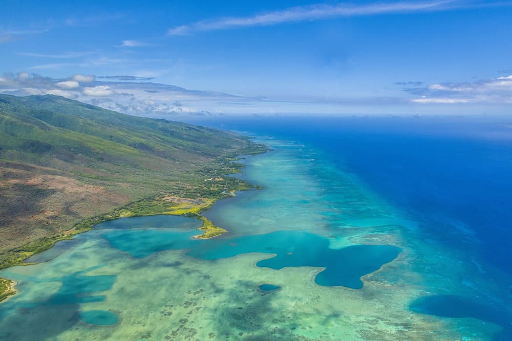 South Shore Reef, Molokai